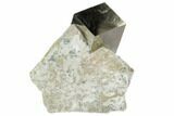 Pyrite Cube In Matrix - Navajun, Spain #105407-1